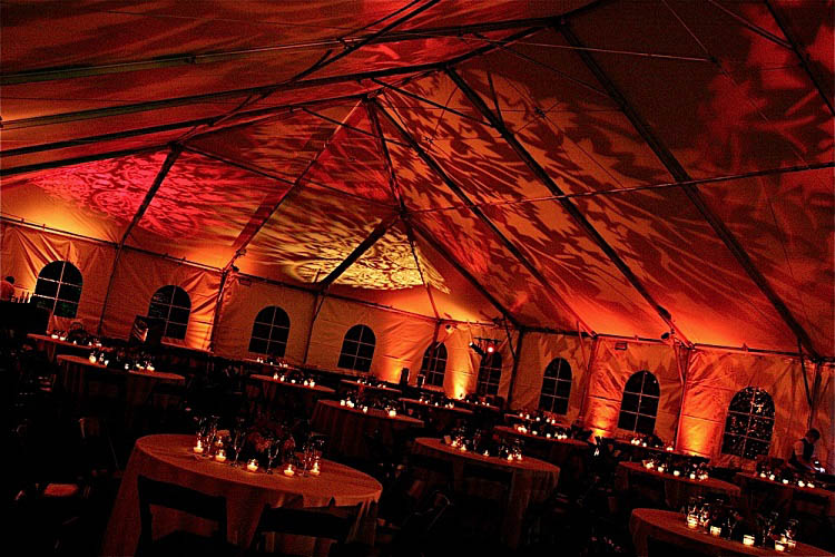Warm orange lighting and branch patterns in a tent